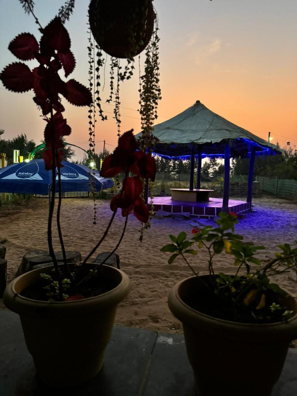 Turtle Beach House Vengurla Екстериор снимка